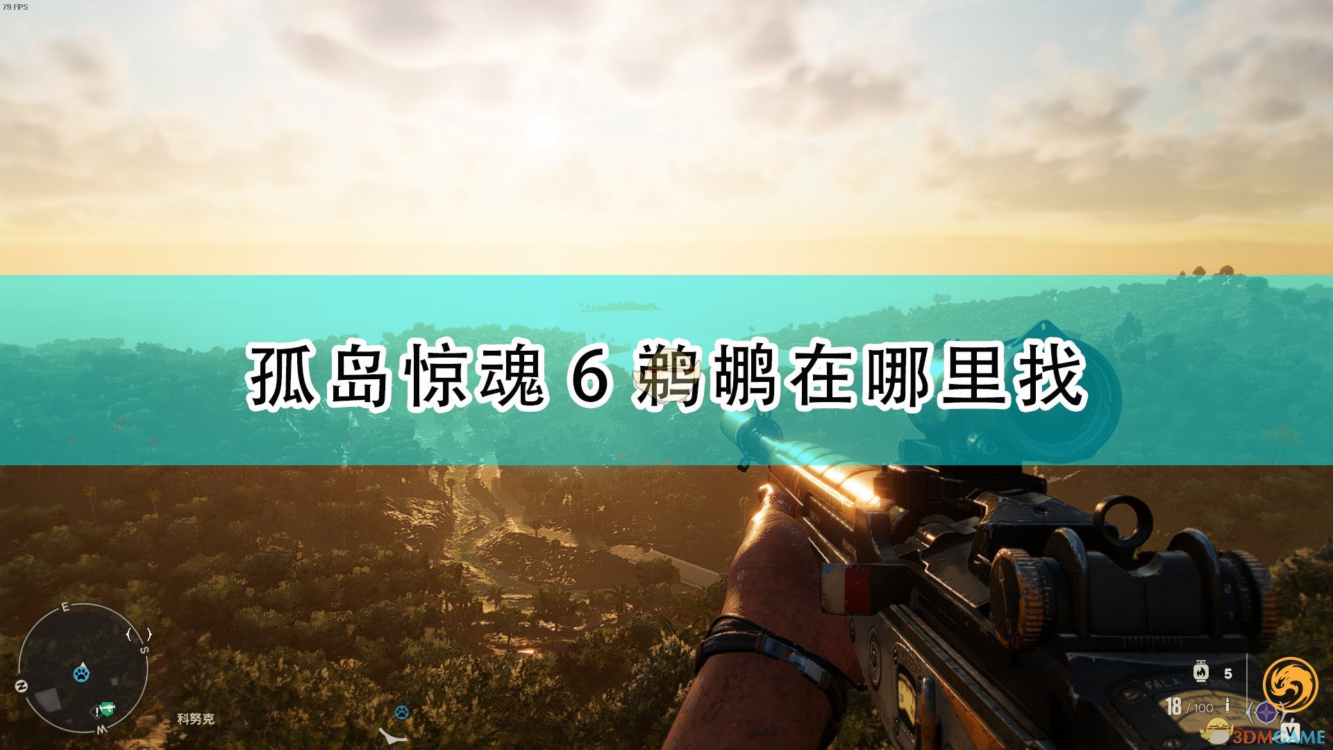 《孤岛惊魂6》鹈鹕刷新位置介绍