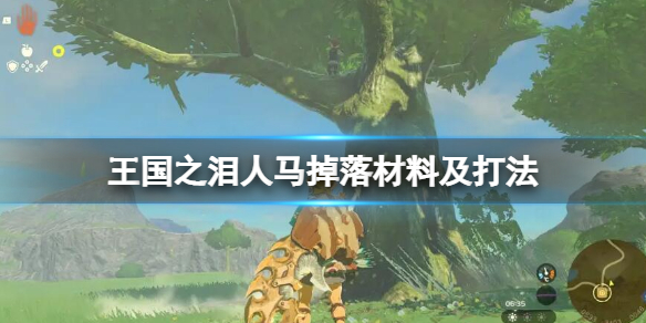 游侠网1